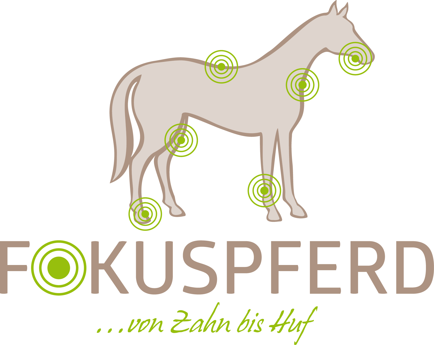 FokusPferd