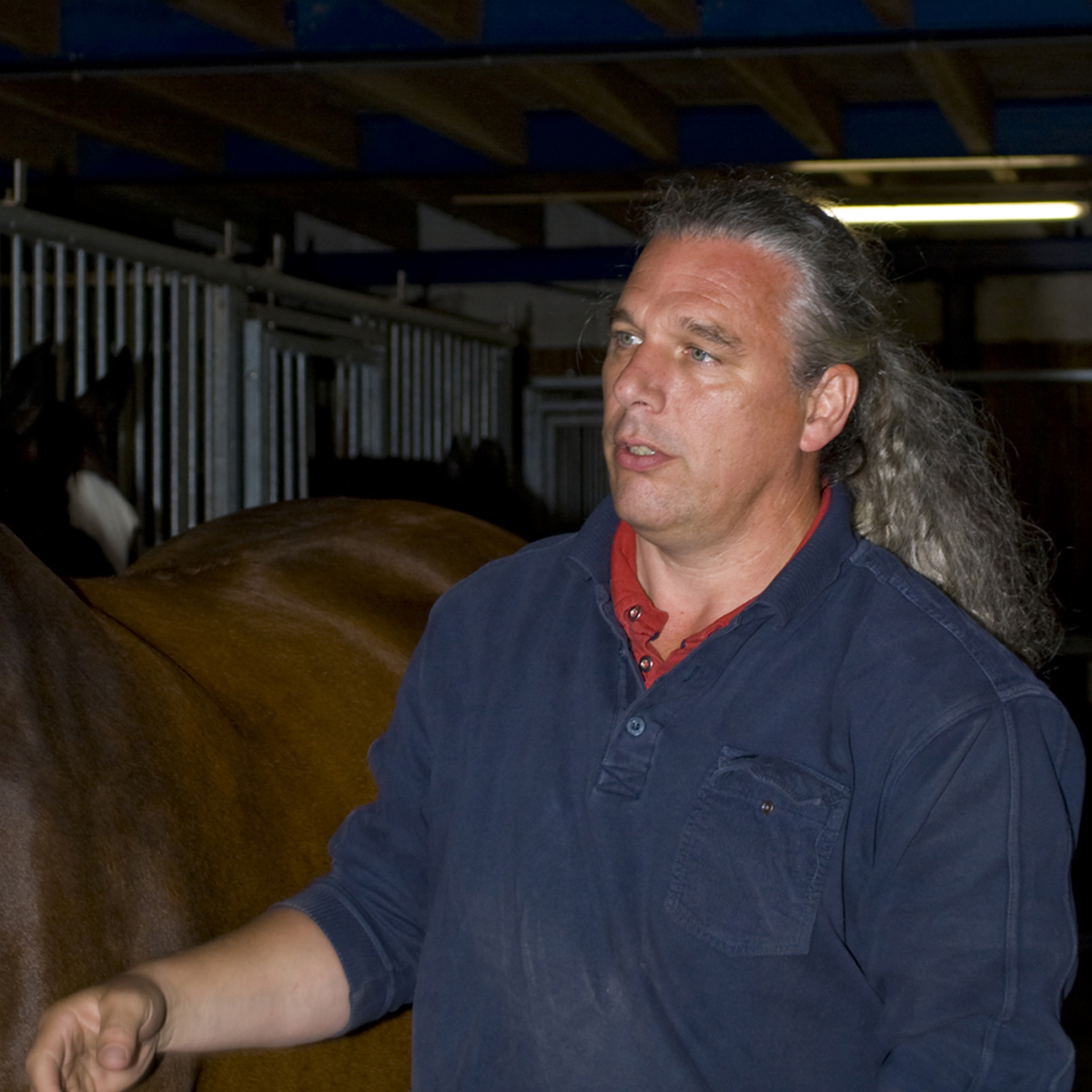 Van den Dungen Martin