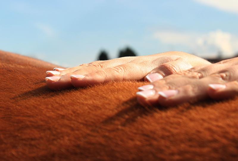 Osteopathie