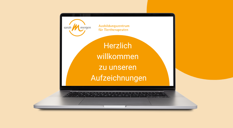 Aufzeichnungen-sarah-mergen